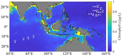 Insights into community assembly mechanisms, biogeography, and metabolic potential of particle-associated and free-living prokaryotes in tropical oligotrophic surface oceans